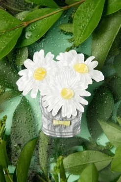 Erstwilder Day's Eye Broche>Vrouwen Sieraden