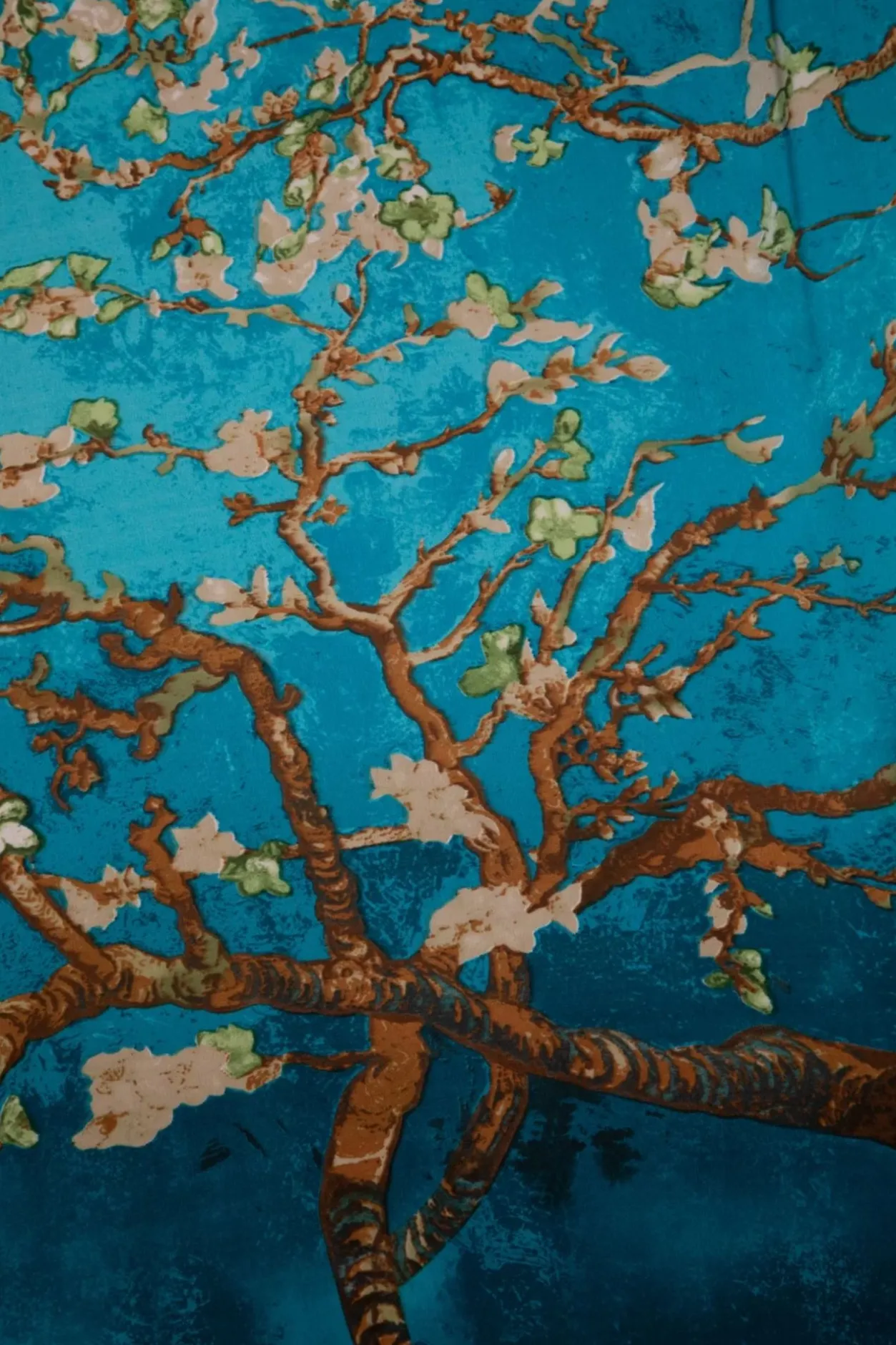 Amici Jade Sjaal In Teal>Vrouwen Sjaals