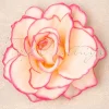 Topvintage Boutique Collection Ravishing Rose Haarclip In Roze>Vrouwen Haaraccessoires